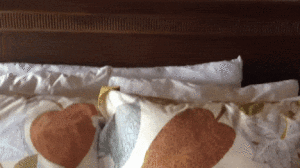 https__vk_com_gif_fak (6)