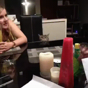 https__vk_com_gif_fak